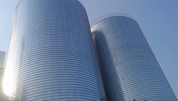 寒亭2座混凝土高架卷板仓